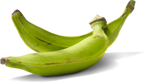 « LA BANANE EST L’OPTION DE SURVIE »