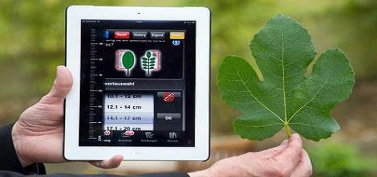 « Donnez un rein et achetez le nouvel iPad ! »