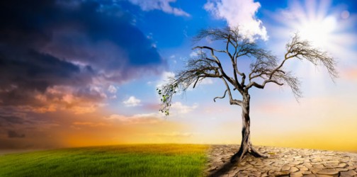 CO2, FAMINE ET ÉPIDÉMIE