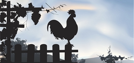 RÉVEILLEZ-VOUS !