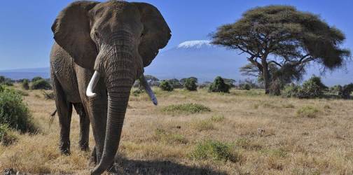 LE TOURISME EN AFRIQUE