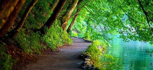 «On ne négocie pas avec la nature»