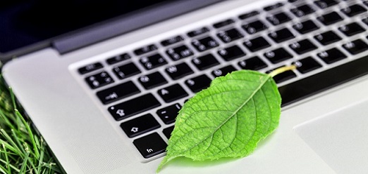 La verdure au travail