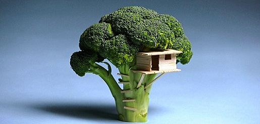 L’EQUILIBRE NATURELLE