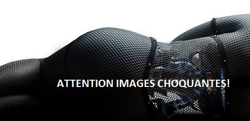 L’AVENEMENT DES « SEXBOTS »