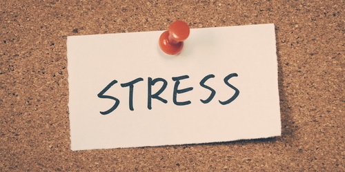 Le Stress Positif