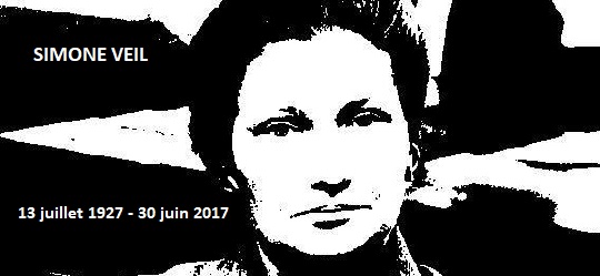 LES COMBATS DE SIMONE VEIL