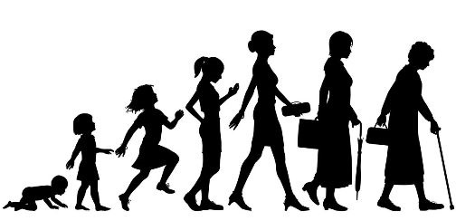 L’OUTIL DE PLANIFICATION SOCIAL