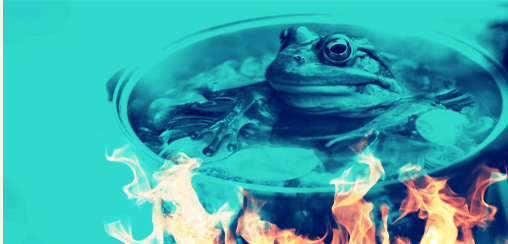 LA GRENOUILLE BOUILLANTE