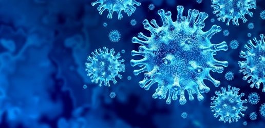 LE VIRUS QUI « COLLE » A LA PEAU