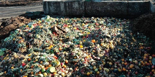 LA PANDÉMIE DU GASPILLAGE ALIMENTAIRE