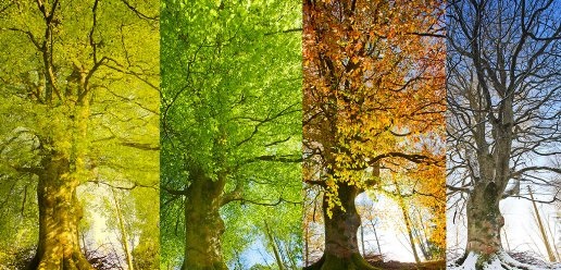 LA PROROGATION DE LA SAISON ESTIVALE