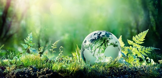 LES CHAMPIONS DE LA TERRE
