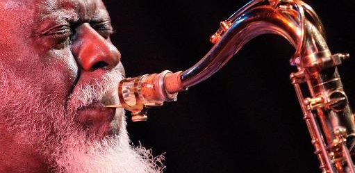 PHOROAH: LA FORCE DE LA NATURE