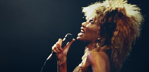 LE MERVEILLEUX VOYAGE DE TINA TURNER