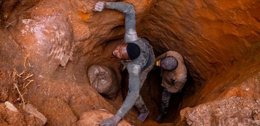 LE MONDE N’EST PAS VERT POUR TOUT LE MONDE