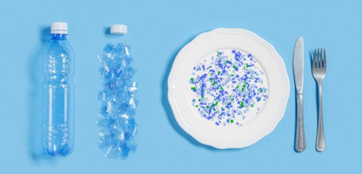 TOXIQUE -MICROPLASTIQUE