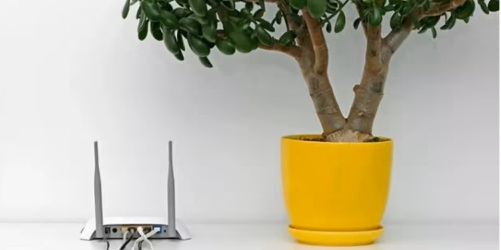 LES DÉGĀTS DU WIFI