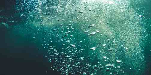 L’AQUAMATION